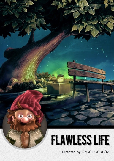 Flawless Life afişi
